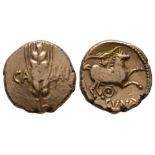 Celtic Iron Age Coins - Trinovantes and Catuvellauni - Cunobelin - Wild Ring Gold Stater