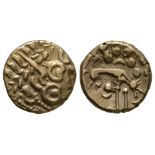 Celtic Iron Age Coins - Iceni - Norfolk Wolf Right Gold Stater