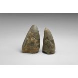 Natural History - Fossil Dinosaur Teeth Pair