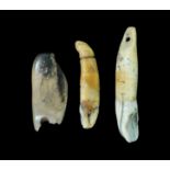 Stone Age Tooth and Bone Pendant Group