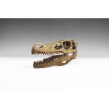 Natural History - Velociraptor Dinosaur Skull Replica.