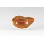 Natural History - Polished Carnelian Tray