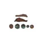 Ancient Greek Coins - Olbia - Dolphin Money and Other Bronzes Group [7]