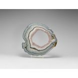 Natural History - Polished Agate Slice