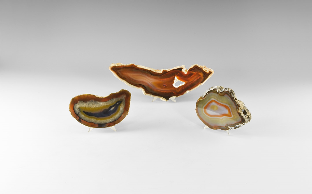 Natural History - Polished Agate Slab Group.