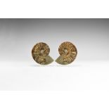 Natural History - Cut & Polished Fossil Ammonite Pair