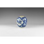 Chinese Blue and White Jar