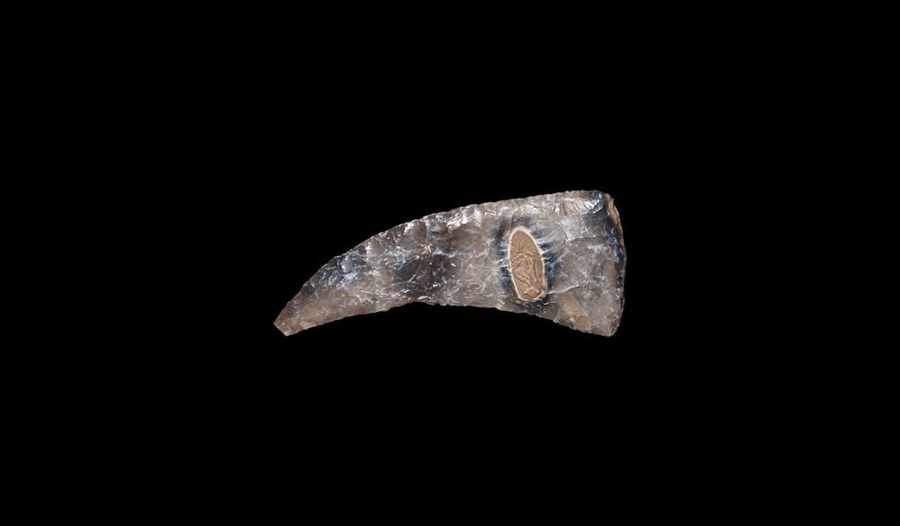 Stone Age Knapped Sickle