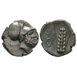 Ancient Greek Coins - Lucania - Metapontum - Leukippus Nomos