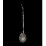 Roman Swan-Necked Spoon