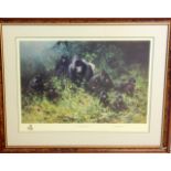 A framed signed David Shepherd print with embossment ' Mountain Gorillas of Rwanda' 207/1500 96 x