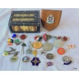 A collection of badges and medals in a Victorian quill box