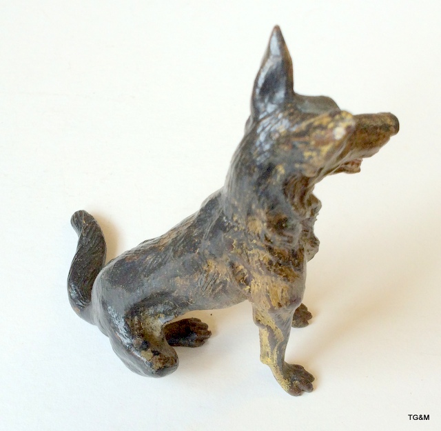 A cold painted Austrian bronze Alsatian dog - Image 4 of 5