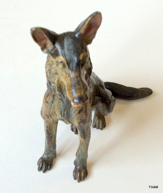 A cold painted Austrian bronze Alsatian dog - Image 3 of 5