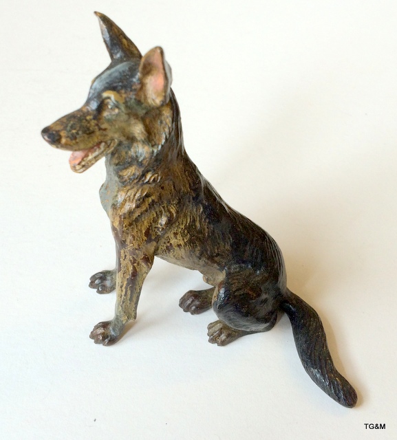 A cold painted Austrian bronze Alsatian dog