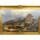 An oil on canvas with gilt frame of a cattle scene 105 x 70cm