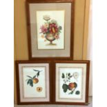 3 framed prints of fruit & flowers