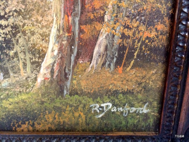 Oil on board of a Woodland scene R. Danford 31 x 35cm - Image 5 of 9