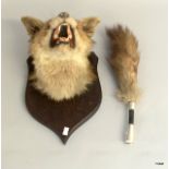 A shield mounted taxidermy fox mask and brush