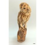 A taxidermy Tawny Owl on wooden plinth by Edward A Sadler.41 x 16 x 12 cm