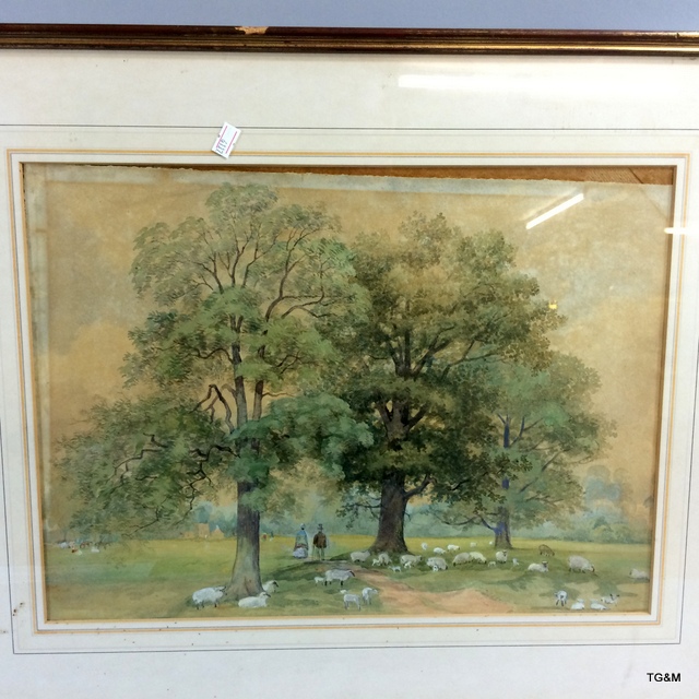 A watercolour depicting country scene showing sheep and trees 65 x 44cm