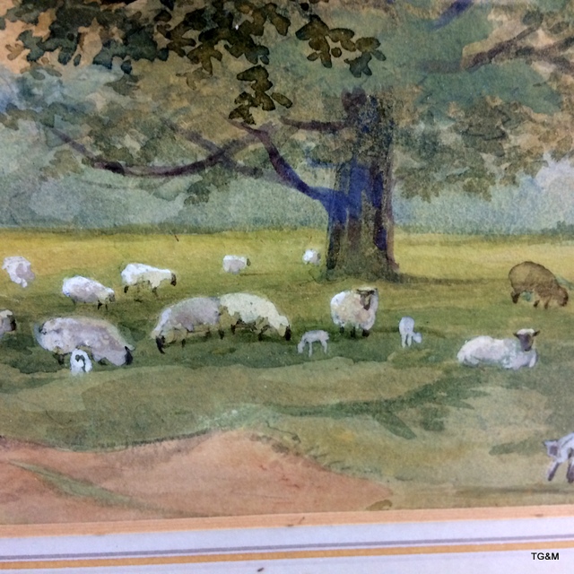 A watercolour depicting country scene showing sheep and trees 65 x 44cm - Image 5 of 5