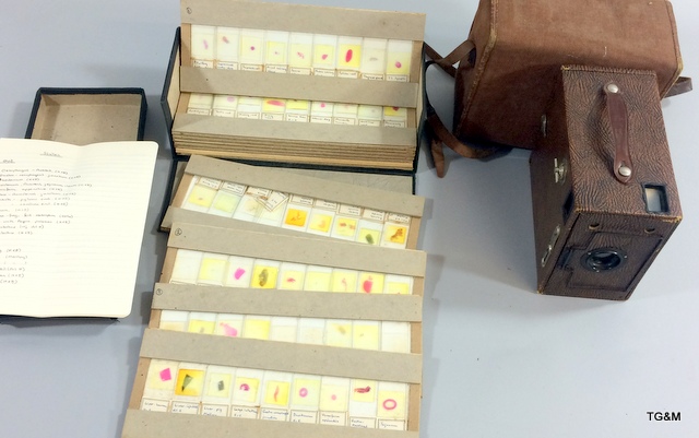 Boxed Scientific slides date 1947 and Brownie Camera