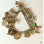 Silver Charm Bracelet & 15 Charms