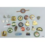 Collection of British Rail badges and buttons.