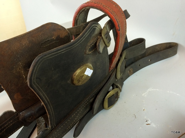 Shire horse bridle and leather gaters - Image 6 of 6