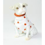 Novelty porcelain boxer dog, possibly German