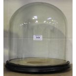 A late Victorian glass display dome, height approx 29.5cm, diameter approx 29cm, raised on a