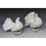 A pair of Rosenthal porcelain models of white glazed fan tailed doves, on naturalistic bases,