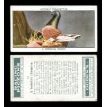 A collection of cigarette cards in nine albums, including 50 Ogdens 'Racing Pigeons', 48 (of 50)