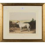 J.P. Brooke - Study of a Bulldog in a Landscape, watercolour, signed and dated 1811, approx 22cm x