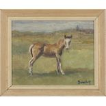 Ronald Ossory Dunlop - Study of a Foal in a Field, 20th Century oil on board, signed, approx 19cm