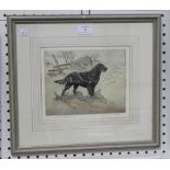 Henry Wilkinson - Flat Coat Retriever, coloured etching, signed and editioned 86/150 in pencil,