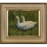Donna Crawshaw - Two Geese, late 20th Century oil on board, signed, approx 19cm x 24cm, within a