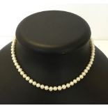 Single string of cultured pearls with a 9ct gold clasp.