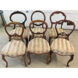 6 Victorian 'Harlequin' balloon back dining chairs - all with cabriole legs - 'Harlequin' - all