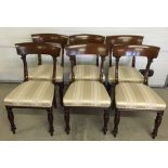 6 Victorian Trafalgar back dining room chairs in cream upholstery.