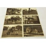 6 unused postcards - Chessington Zoo c1930-50s.