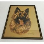 Framed & glazed print of a German shepherd by Pollyanna Pickering.