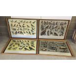 A set of 4 large framed and glazed bird charts by the RSPB, picture measurments 84 x 61cm