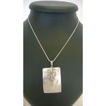 A mother of pearl pendant with a dragonfly motif in 925 silver on a rope chain