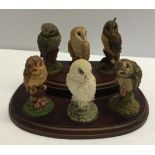 A wooden display stand with 6 Royal Doulton resin owls.