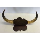 A pair of animal horns mounted onto a wooden plaque.