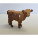 A Highland Calf Beswick figurine in gloss. Model #1827D. Issued 1962-1990.