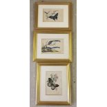 3 framed and glazed paintings on silk. 2 with butterflies and 1 depicting 2 blue coloured birds.