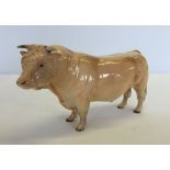 A Beswick Charolais Bull figurine in cream gloss finish. Model #2463A.